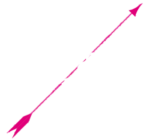 Enthusiasm Is Our Passion